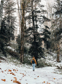 Rear view of woman hiking in forest. winter, snow, trail, path, trees, full length.