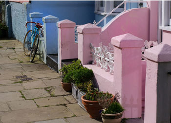 View of potted plants