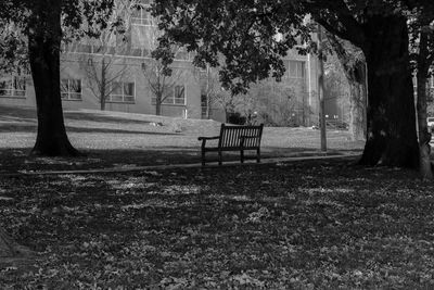 Empty park against trees