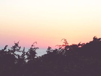 Silhouette trees against sky during sunset