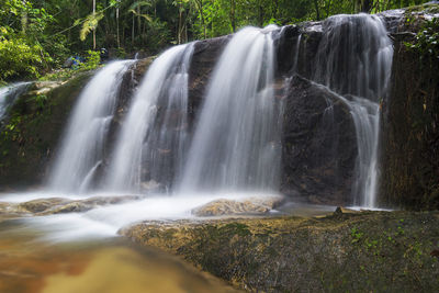 View of waterfall in forest