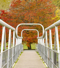 Footpath in park during autumn