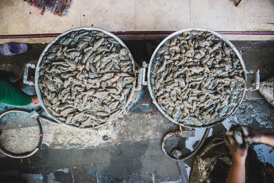 High angle view of man working in container