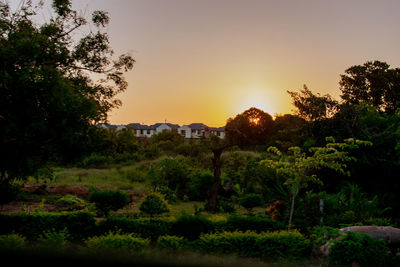 Trees and houses against sky during sunset