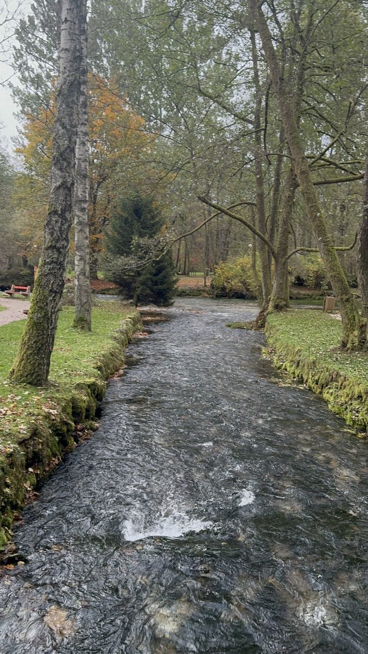 plant, tree, water, nature, day, no people, beauty in nature, growth, tranquility, land, outdoors, high angle view, scenics - nature, green, forest, reflection, tranquil scene, waterway, non-urban scene, architecture