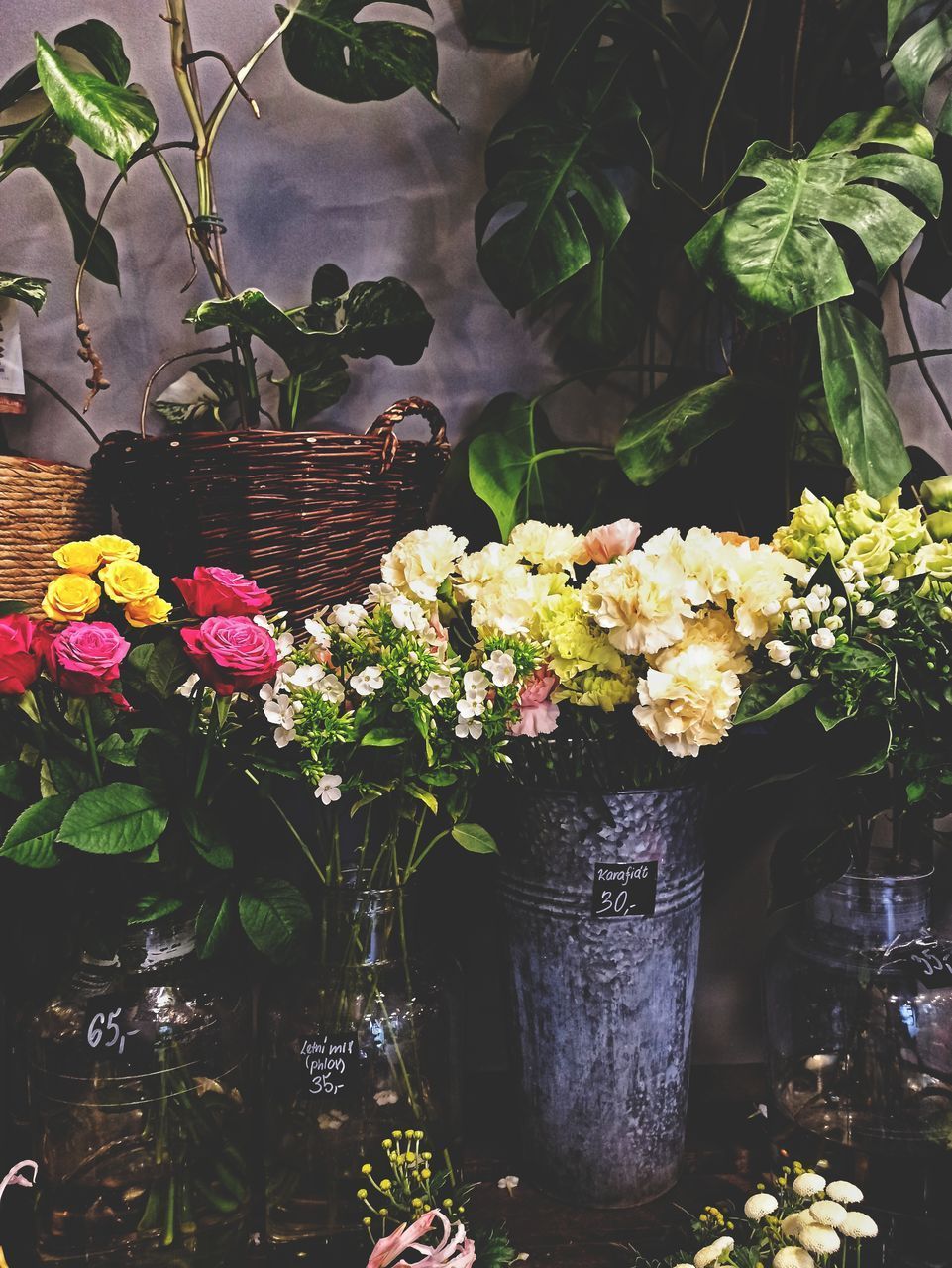 CLOSE-UP OF POTTED PLANT WITH FLOWERS IN POT