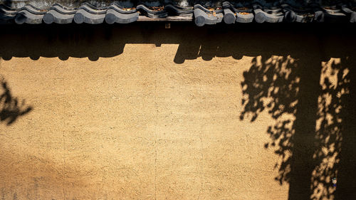 High angle view of woman