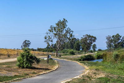 Road amidst trees against clear blue sky