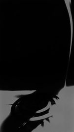 Close-up of a bird over black background