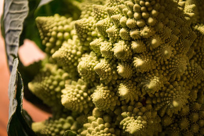 Close-up of berries