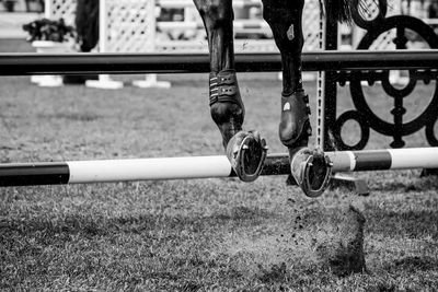 Horse jumping, equestrian sports, show jumping competition themed photograph.