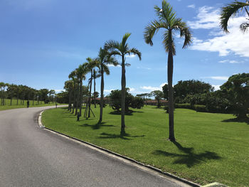 Palm trees on field against sky