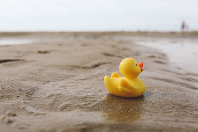 Close-up of rubber duck on wet sand at beach