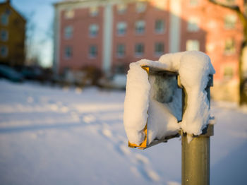 Close-up of crab on snow