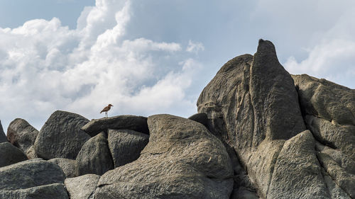 Low angle view of rocks on land against sky