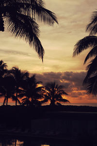 Silhouette palm trees against sky during sunset