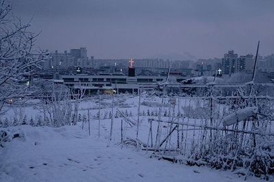 Snow covered landscape