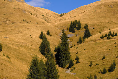 Scenic view of landscape