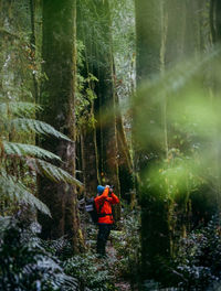 Rear view of man walking in forest