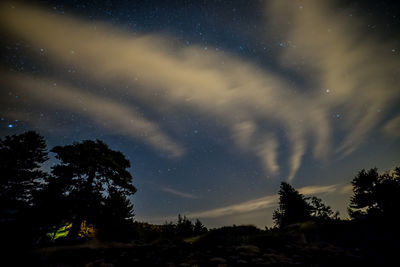 Low angle view of trees against sky at night