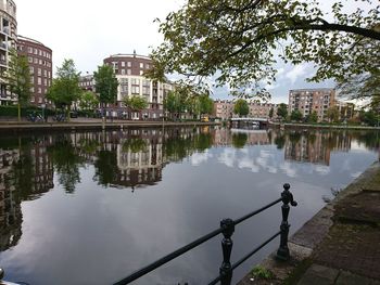 Reflection of trees in city against clear sky