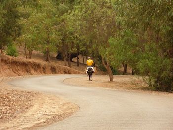 Rear view of man riding bicycle on road