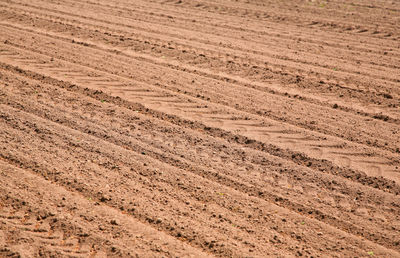 High angle view of tire tracks on field