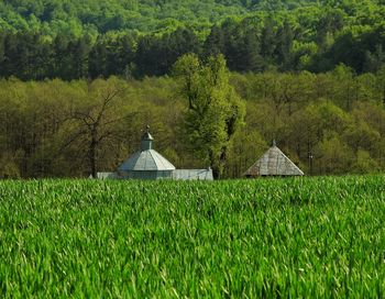 Built structure on field against trees and plants