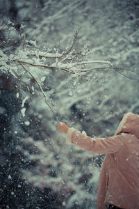 Close-up of hand on snow covered tree