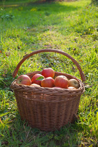 Fruits in basket on field