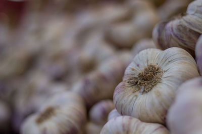 Close-up of pineapple