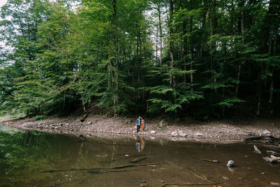 Man standing by trees in forest