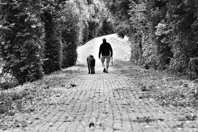 Rear view of man with dog walking on footpath amidst trees
