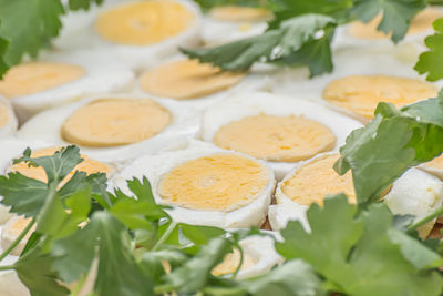 Close-up of food served on leaves