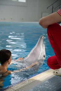 Young woman with dolphin swimming in pool