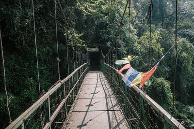 View of bridge in forest