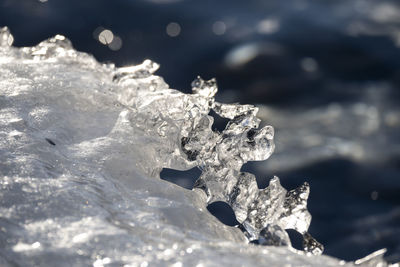 Close-up of frozen water on land