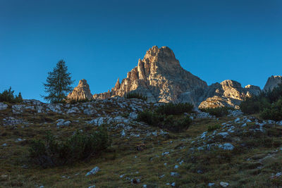 Larch with dolomite tre scarperi peaks at sunset, south tyrol, italy