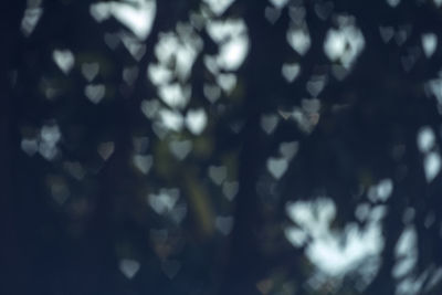 Defocused image of tree