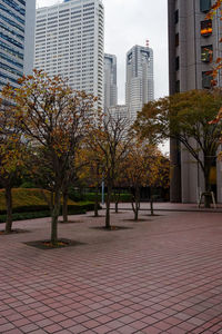 Park by buildings in city