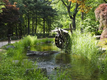 Scenic view of waterfall in forest