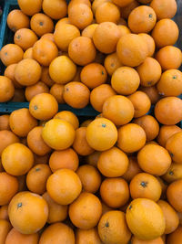 Full frame shot of oranges