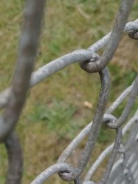 Close-up of chain on tree