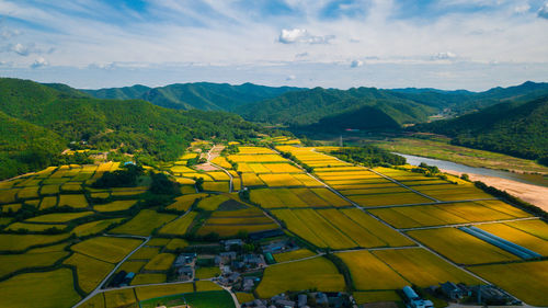 Scenic view of agricultural field against sky