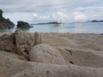 Close-up of rocks on beach against sky