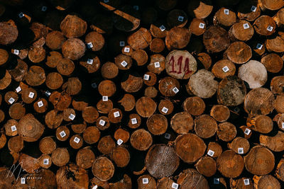 Full frame shot of logs in forest