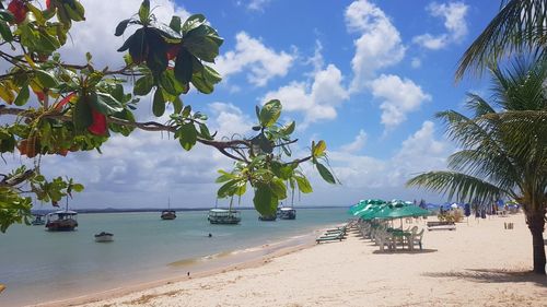 Scenic view of beach against cloudy sky