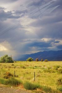 Scenic view of field against sky