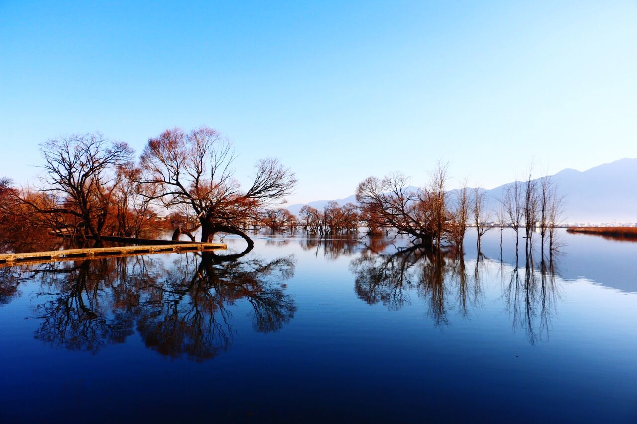 clear sky, reflection, water, lake, tranquility, tranquil scene, blue, copy space, waterfront, tree, scenics, beauty in nature, standing water, nature, bare tree, calm, idyllic, river, countryside, day