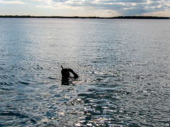 View of swimming in sea